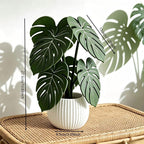Monstera Leaf 3D Printed Coasters, Non-Slip Anti-Scald Plant Drink Mats, Tropical Desk Bar Kitchen Decor